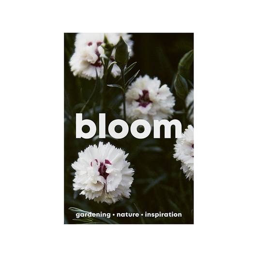 Bloom magazine #14 cover