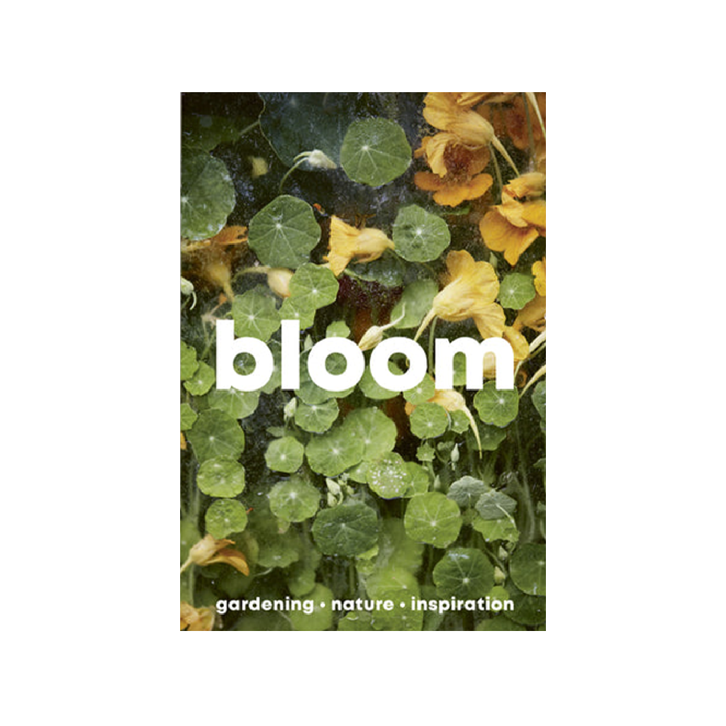 Bloom #15