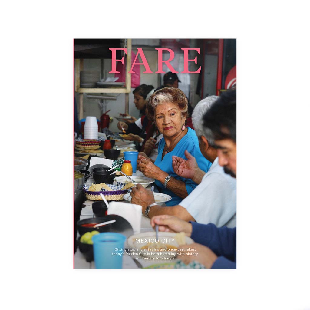 Fare #14 Mexico City Cover
