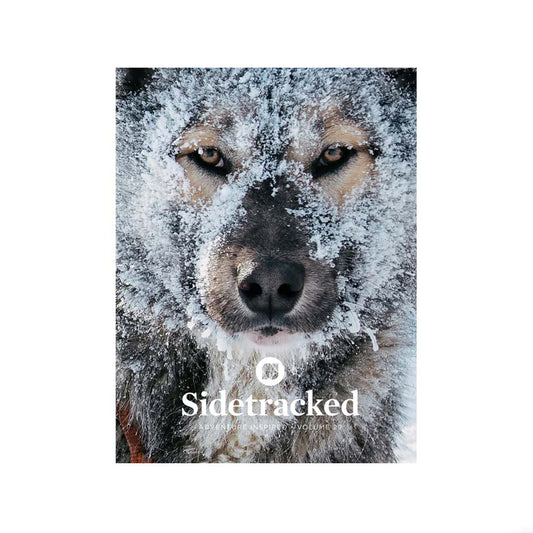 Sidetracked #29 cover